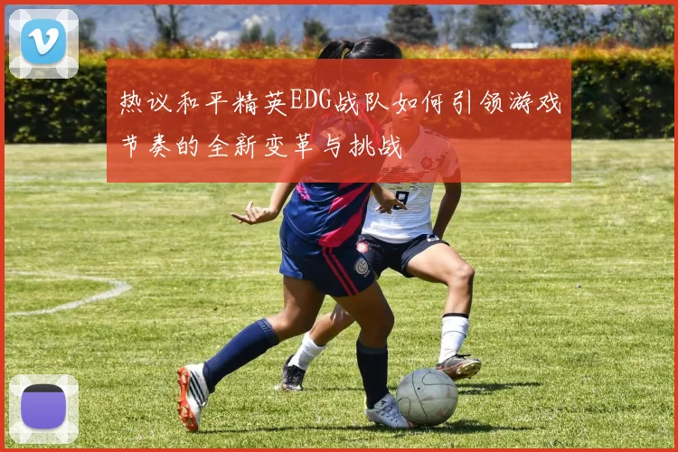 热议和平精英EDG战队如何引领游戏节奏的全新变革与挑战