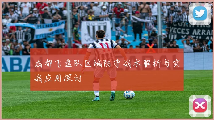 成都飞盘队区域防守战术解析与实战应用探讨